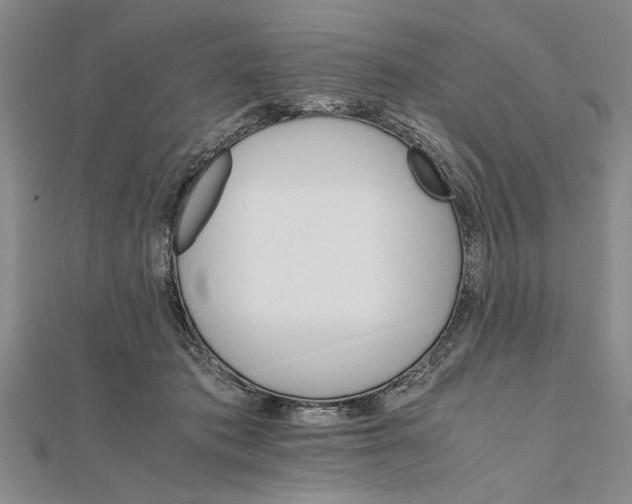 X0000111680413200908071429