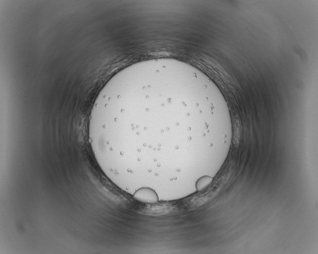 X0000111680414200908071429