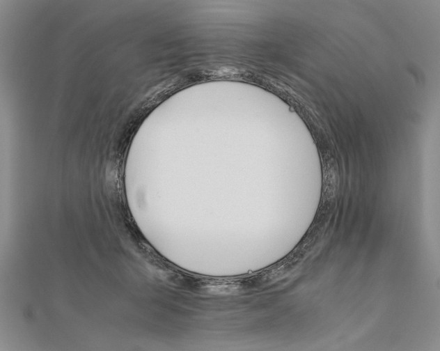 X0000111680415200908071429