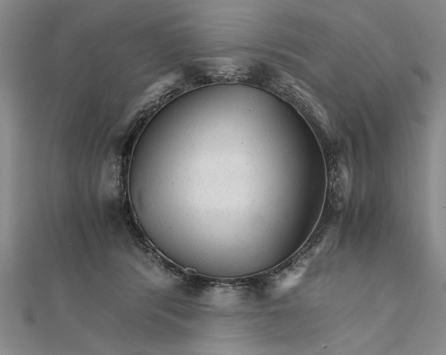 X0000111680416200908071429