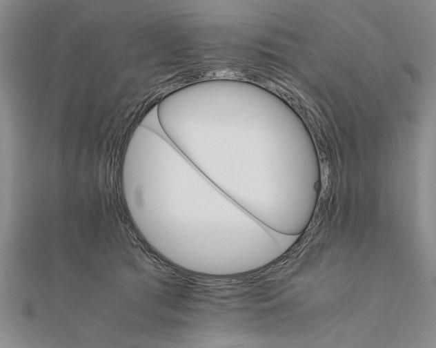 X0000111680417200908071429