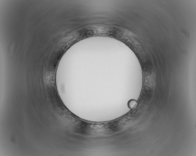 X0000111680419200908071429