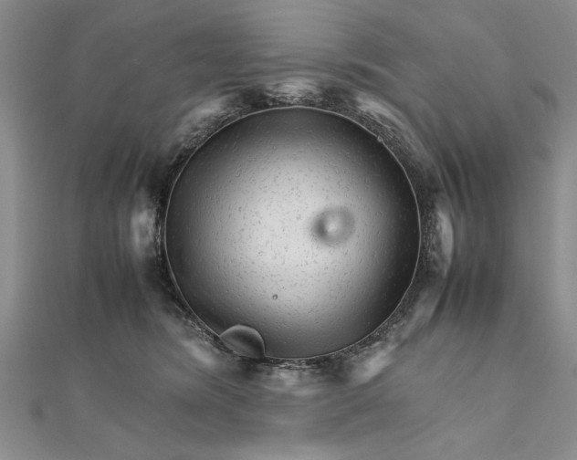 X0000111680420200908071429