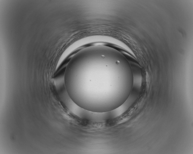 X0000111680421200908071429