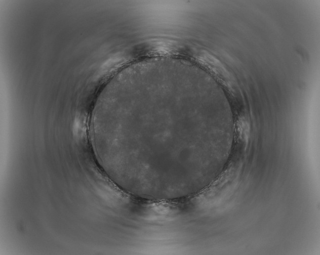 X0000111680423200908071429