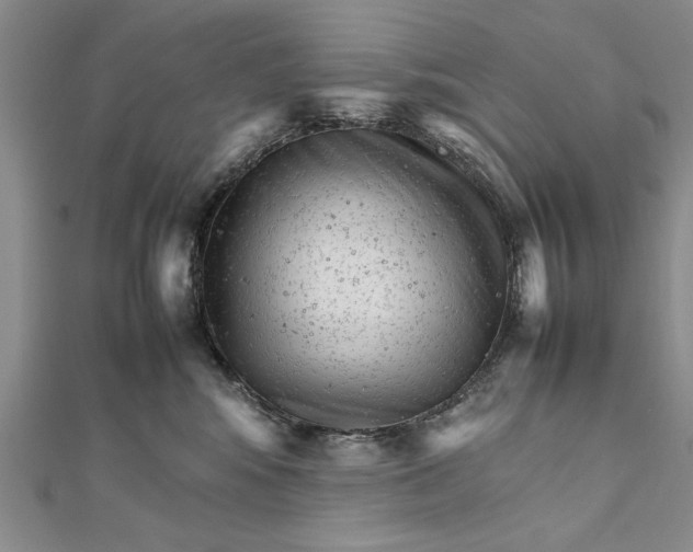 X0000111680424200908071429