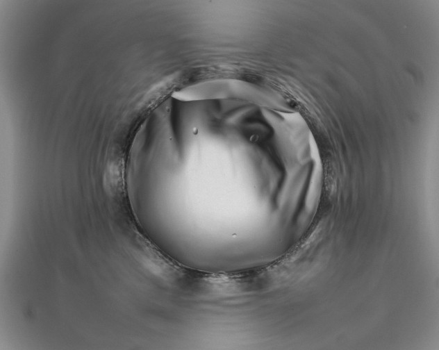 X0000111680425200908071429