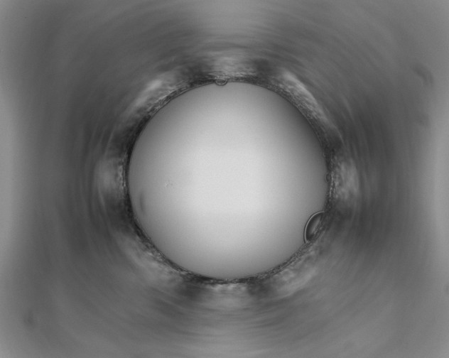 X0000111680426200908071429