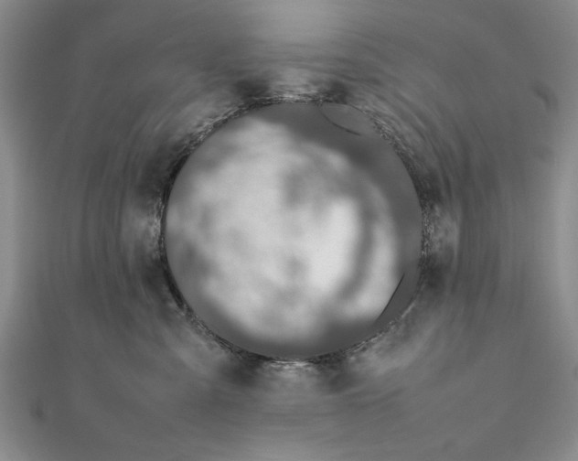 X0000111680427200908071429