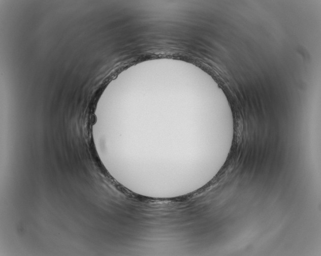 X0000111680428200908071429