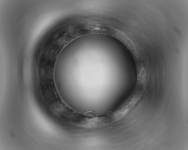 X0000111680430200908071429