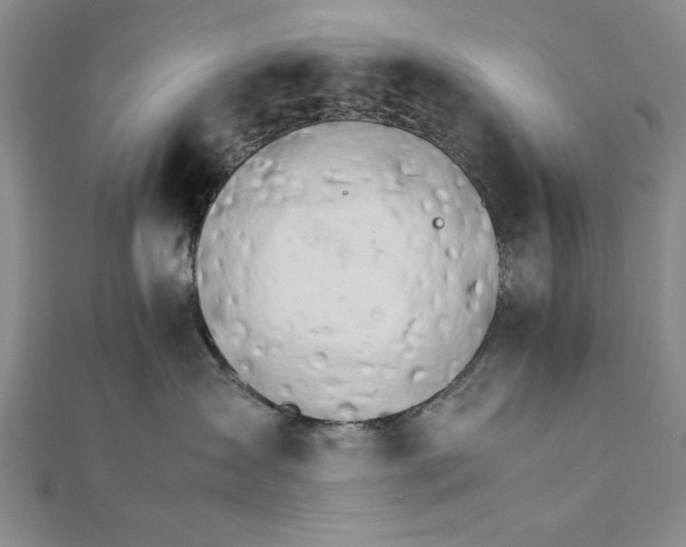 X0000111680431200908071428