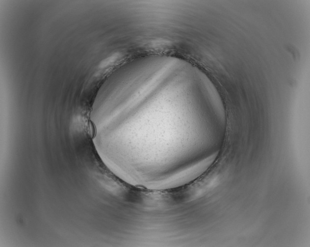 X0000111680432200908071428