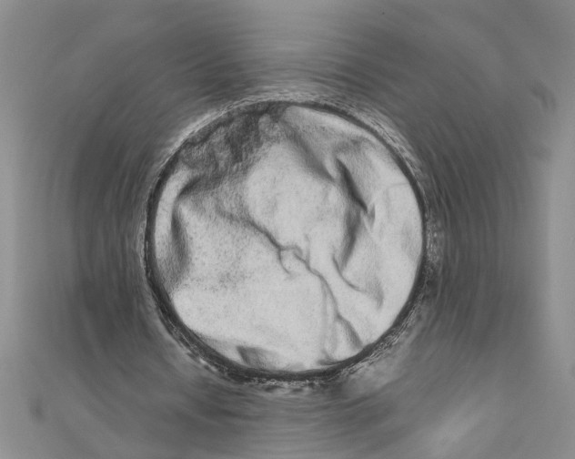 X0000111680434200908071428