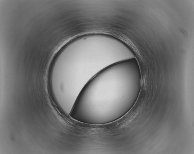 X0000111680436200908071428