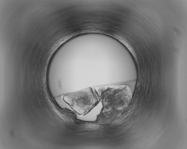 X0000111680437200908071428