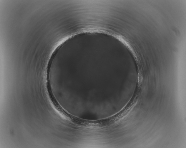 X0000111680438200908071428