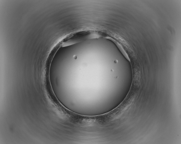 X0000111680440200908071428