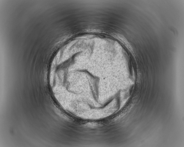 X0000111680441200908071428