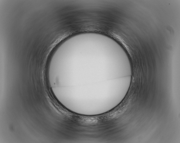 X0000111680443200908071428