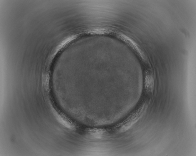 X0000111680444200908071428