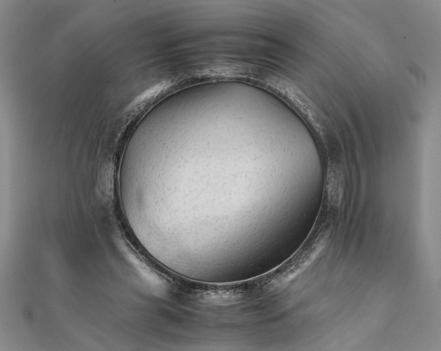 X0000111680445200908071428