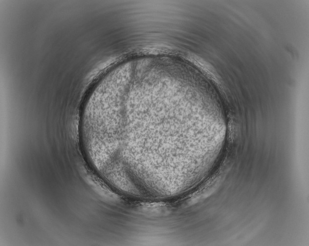 X0000111680446200908071428