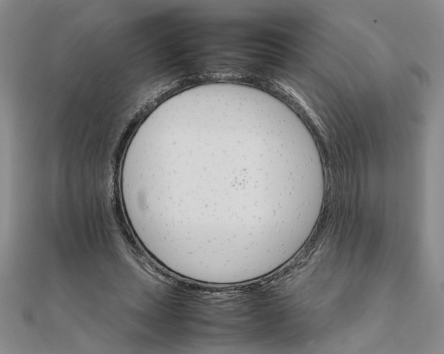 X0000111680447200908071428