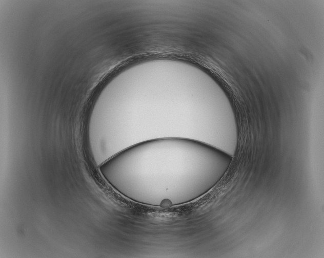 X0000111680448200908071428