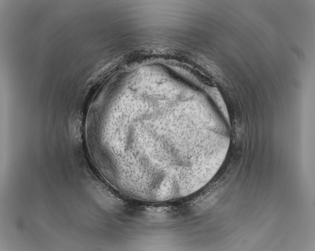 X0000111680450200908071428