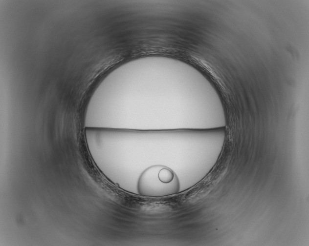 X0000111680451200908071428