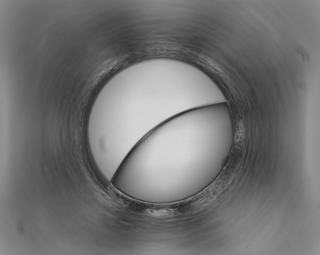 X0000111680452200908071428