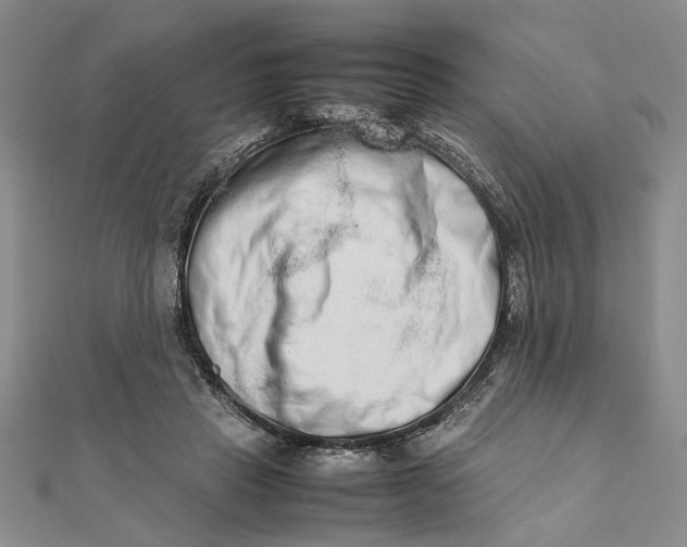 X0000111680453200908071428