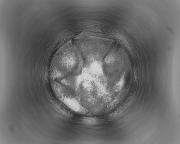 X0000111680457200908071428