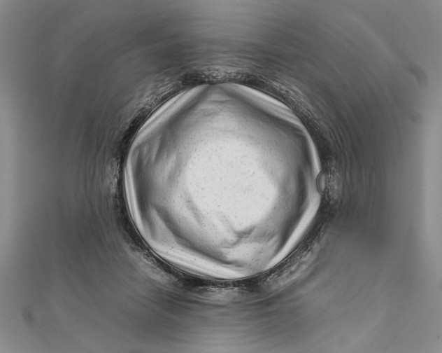 X0000111680458200908071428