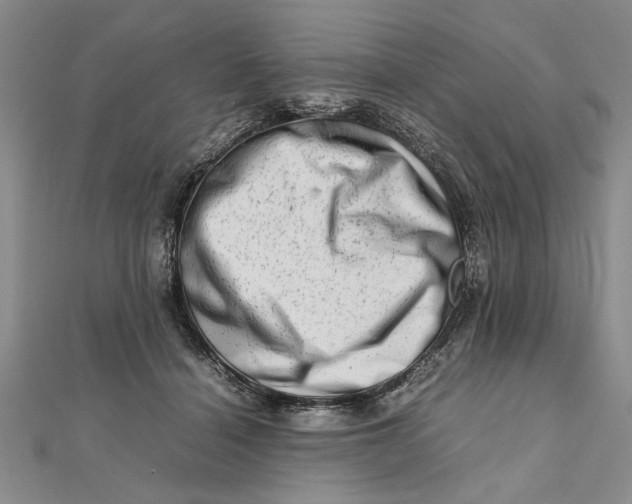 X0000111680460200908071428