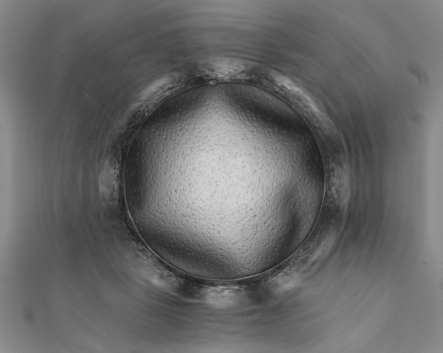 X0000111680461200908071428