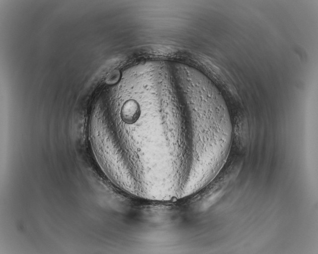 X0000111680462200908071428