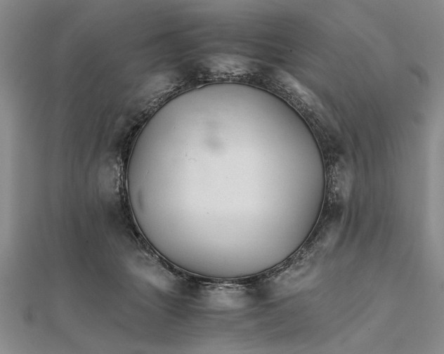 X0000111680463200908071428