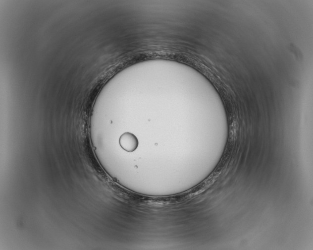 X0000111680464200908071428