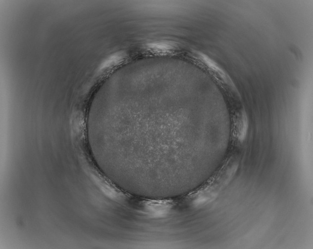 X0000111680465200908071428