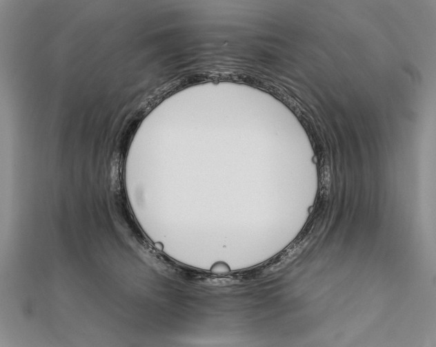 X0000111680468200908071428