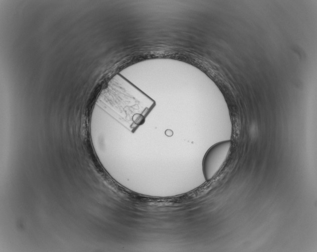 X0000111680470200908071428