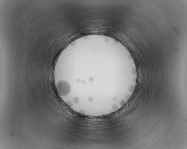 X0000111680471200908071428