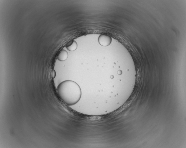 X0000111680474200908071428