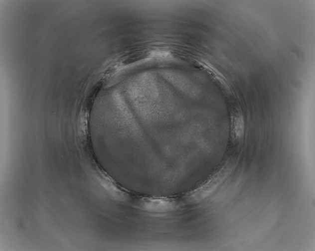 X0000111680475200908071428