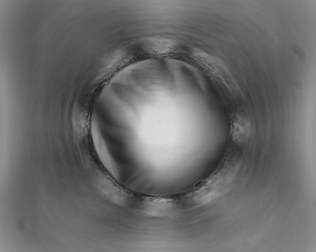 X0000111680476200908071428