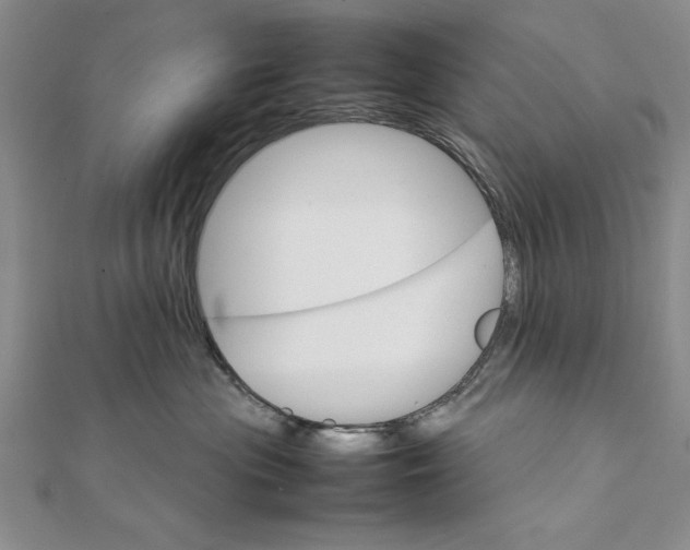 X0000111680477200908071428