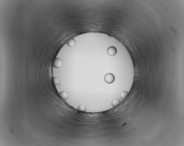 X0000111680479200908071428