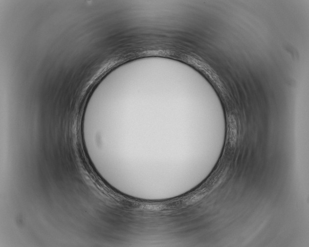 X0000111680482200908071428